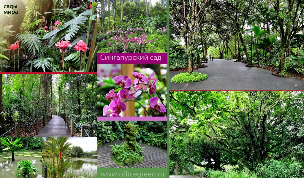 сингапурский сад.jpg