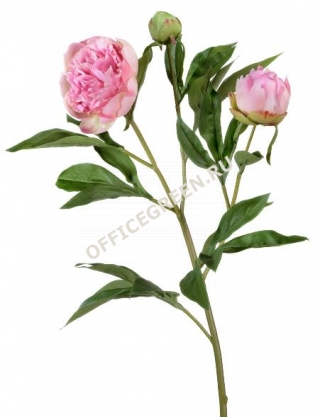 Пион розовый ветвь 60 см