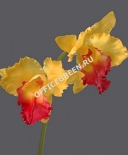 Орхидея Катлея крупная желто-розовая 42 см 2цв