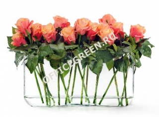 Розы розово-персиковые в дизайн-стекле с водой