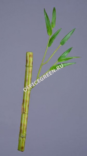 Бамбук стебель св.зеленый с веточкой