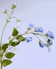 Цветной горошек нежно-голубой 63 см